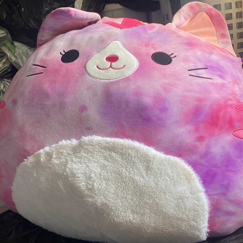 Squishmallow 24 inch CAELI the CAT pillow HUGE 24" plush PINK TIE-DYE kitty